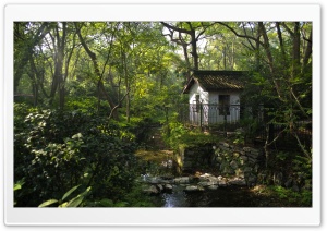 A Little House In Hangzhou