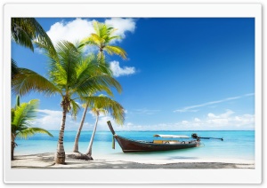 Tropical Traditional Wooden Boat