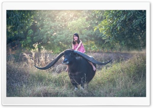 Girl riding a Longhorn Buffalo