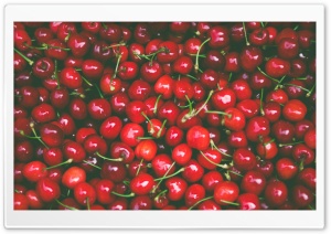 Spring Fruits Red Cherries