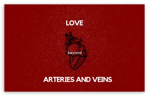 Download Arteries and Veins UltraHD Wallpaper