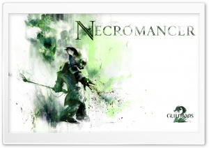 Guild Wars 2 Asura Necromancer