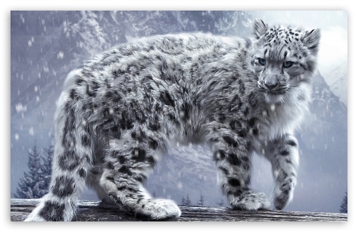 Download White Leopard UltraHD Wallpaper