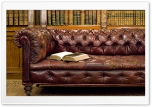 Library Old Leather Sofa