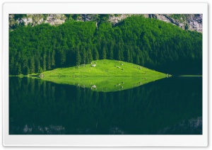 Seealpsee Lake, Switzerland