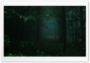 Dark Green Forest