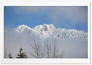 Snowy Mountains