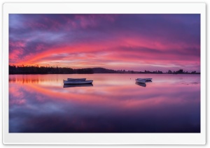 Row Boats on Water