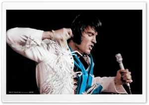 Elvis Presley Fringe Jumpsuit...
