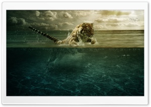 Tiger Playing in Water