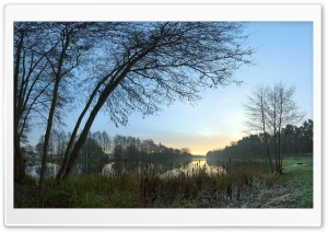 Morning At The Lake