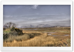 A View From Porthmadog