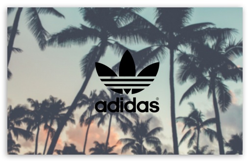 Download Adidas, Palm Trees Background UltraHD Wallpaper