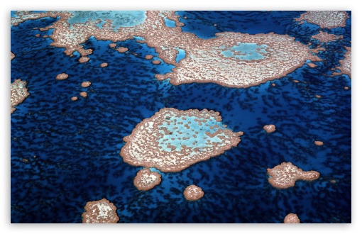 Download Great Barrier Reef UltraHD Wallpaper