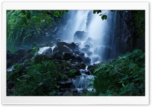 Beautiful Forest Waterfall,...