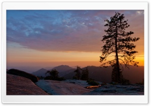 Beetle Rock, Sequoia National...