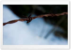 Barb Wire Macro