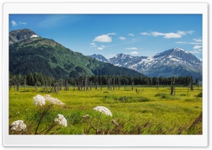 Alaska Mountains Landscape...