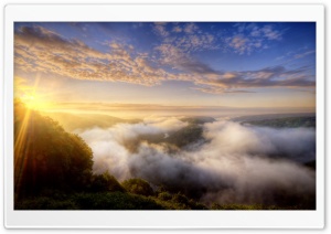 Morning Mist Over The Forest