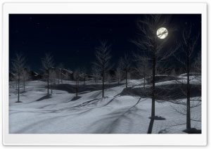 Winter Midnight 3D