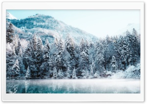 Winter, Lake, Forest,...