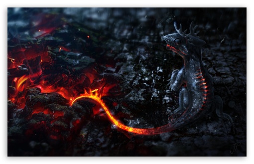 Download Salamander Artwork UltraHD Wallpaper
