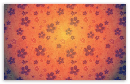 Download Orange Flowers UltraHD Wallpaper