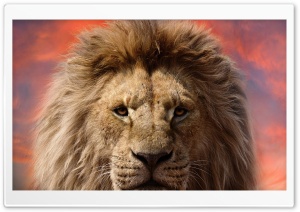 Mufasa The Lion King 2024 Film