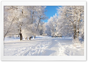 Snow Tracks