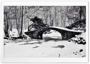 Bridge Winter Black and White