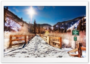 Aspen Trail, Winter