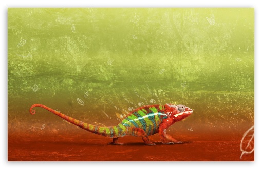 Download Colorful Chameleon UltraHD Wallpaper