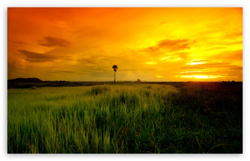Download Beautiful Yellow Sunset UltraHD Wallpaper