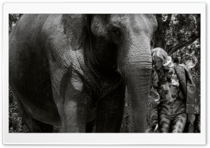 Elephant Friendship