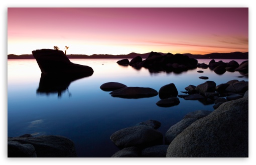Download Bonsai Rock Sunset UltraHD Wallpaper