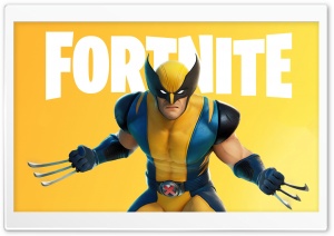 Fortnite Game Wolverine Skin...