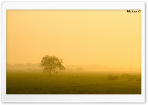 Misty Morning.