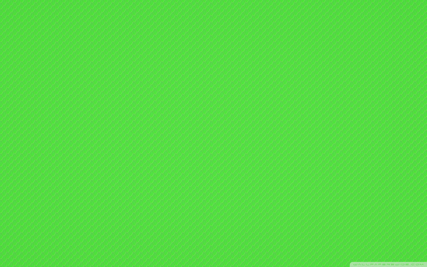 Зелёный фон однотонный яркий