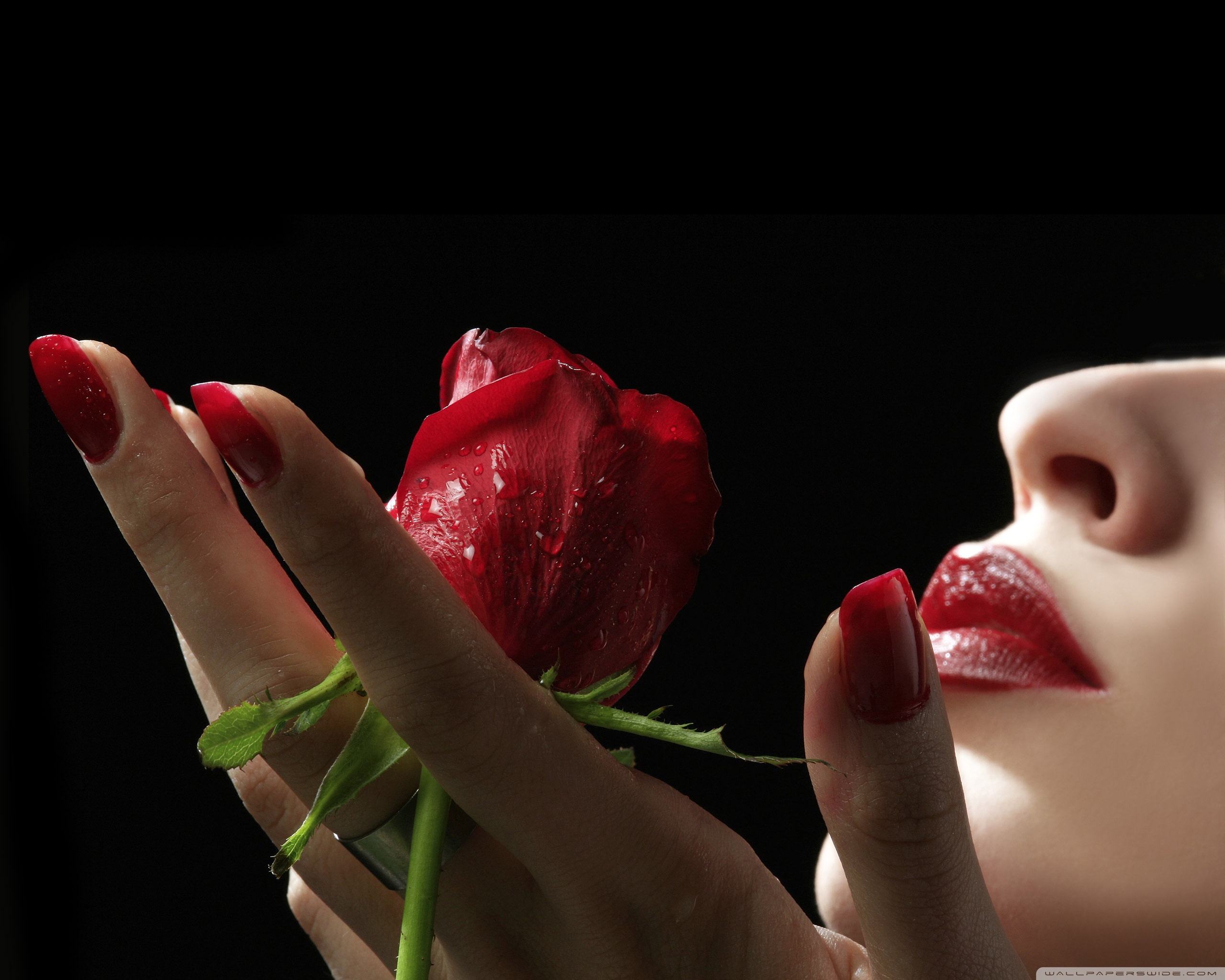 Поцелуй эти лепестки моей любимой. Красивые цветы в руках. Девушка с розой в руках. Женская рука с цветком.