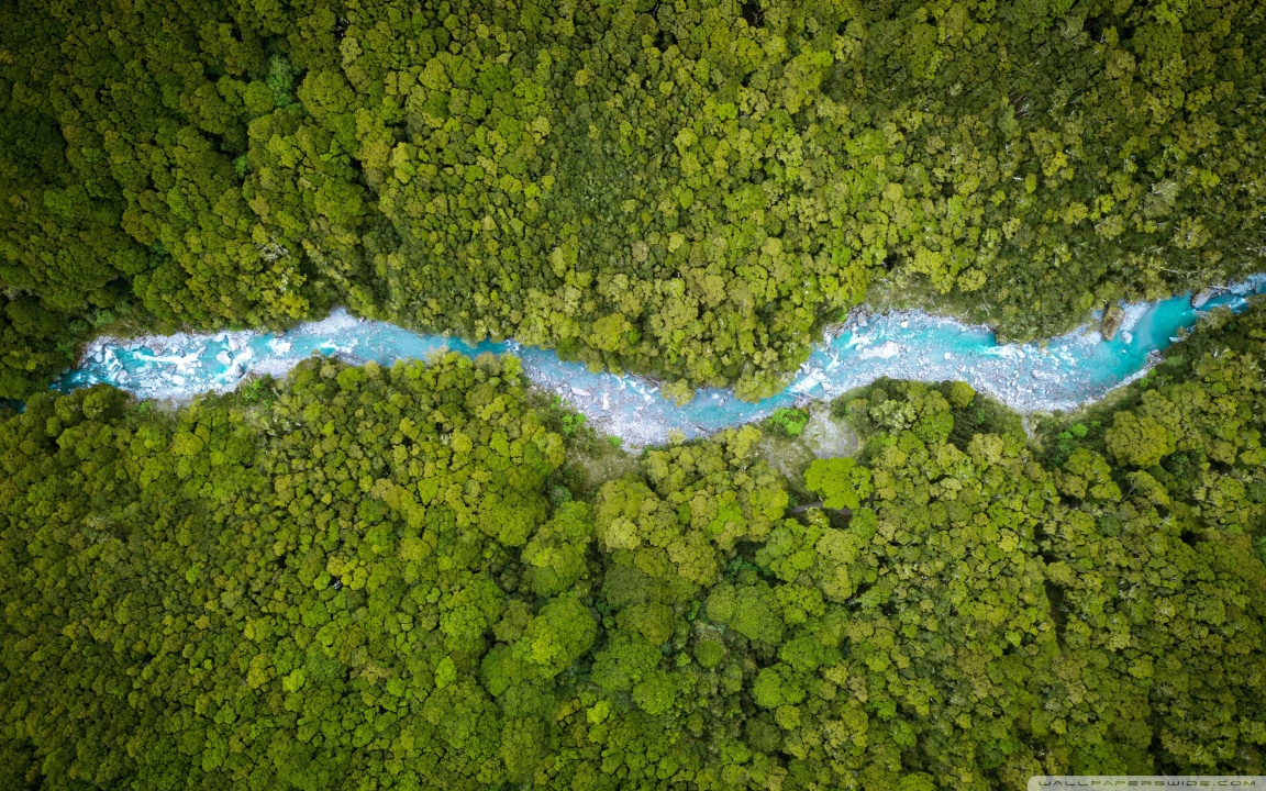 Download Aerial View, Forest Creek, Summer, Nature UltraHD Wallpaper ...