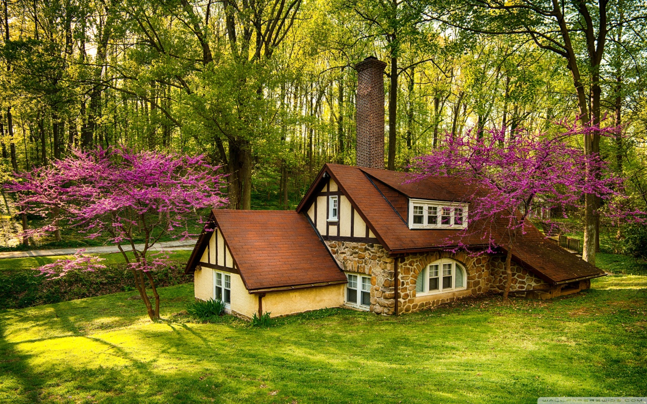 Красивый домик весной
