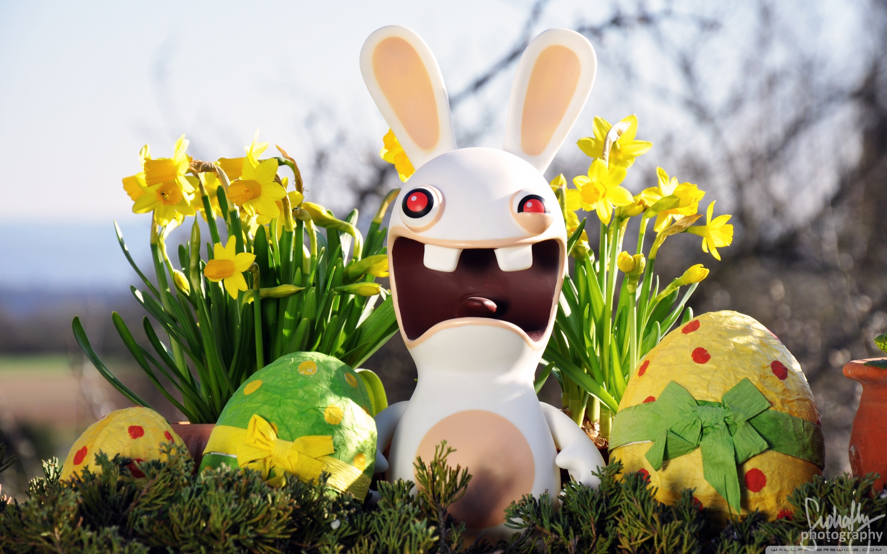 Download Funny Easter Bunny UltraHD Free Wallpaper.