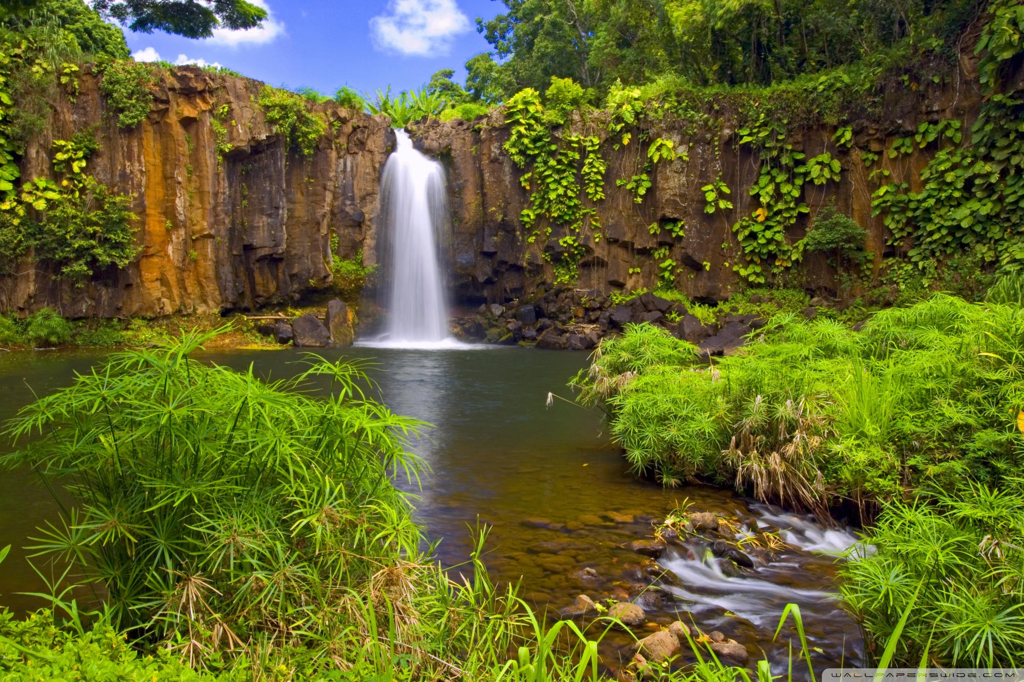 Анимация живых обоев. Водопад. Красивая природа. Живая природа водопады. Пейзаж водопад.