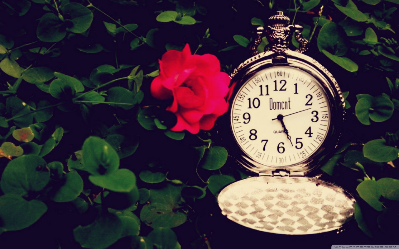 Слушать песню старых часов. Карманные часы и цветы. Человек опаздывает часы цветы. Старинные часы в зеленой траве. Картинки старинные часы с цветами.