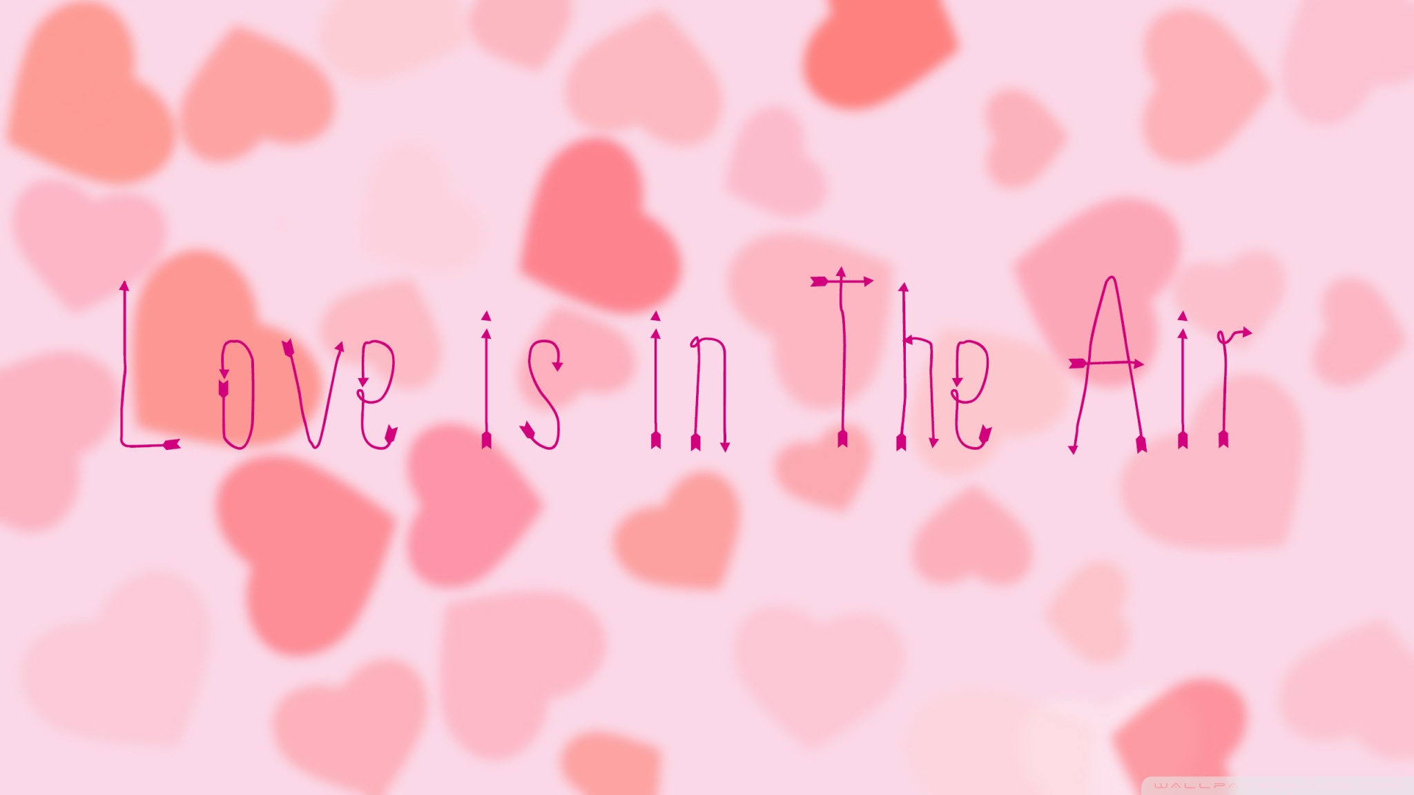 Download Love is in the Air UltraHD Free Wallpaper.