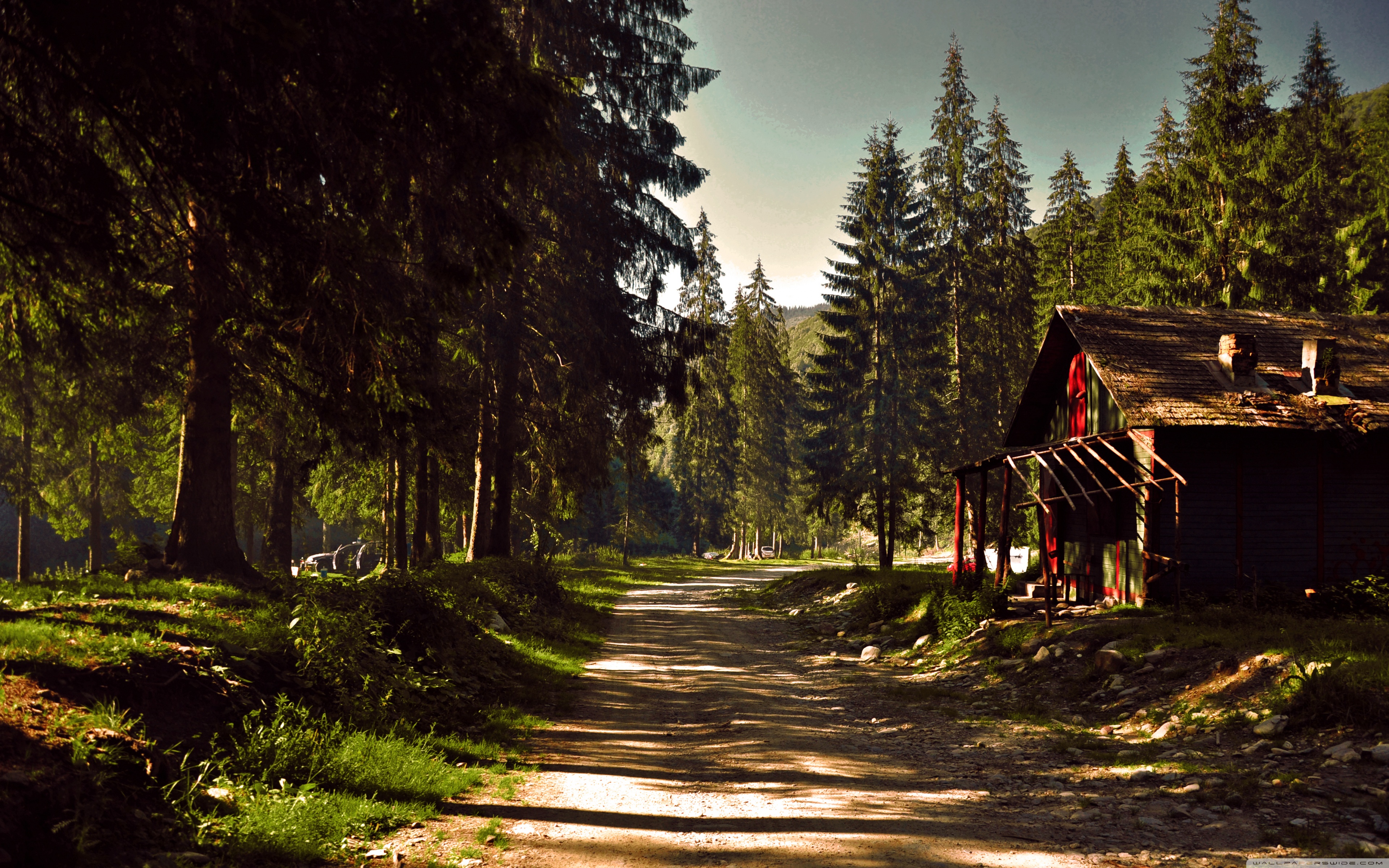 Деревянный дом пейзаж. Хижина гномов, Британская Колумбия. Деревушки в Карелии горы и Тайга. Скандинавия лес Шварцвальд. Домик в лесу.