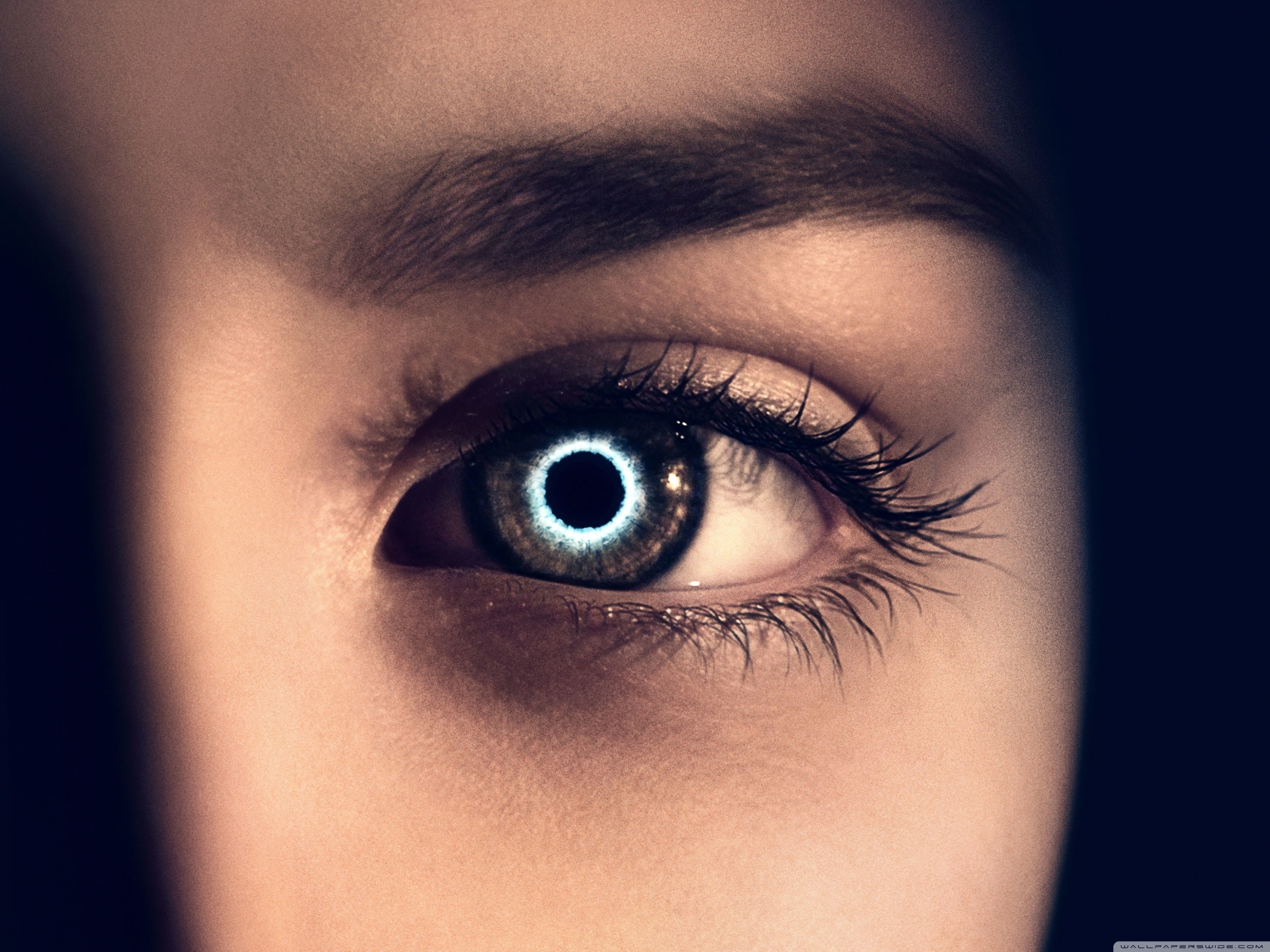 Расширить взгляды. Красивые глаза. Зрачок. Красивые женские глаза.