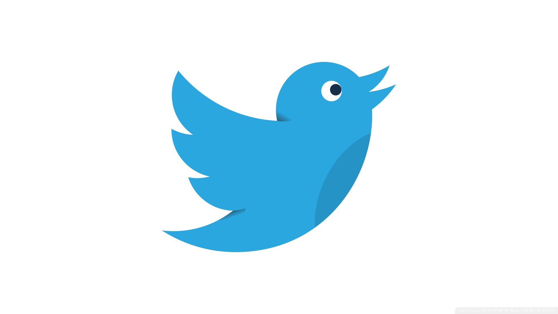 1920x1080 Download Twitter Bird Social Media UltraHD HD Wallpaper Download.